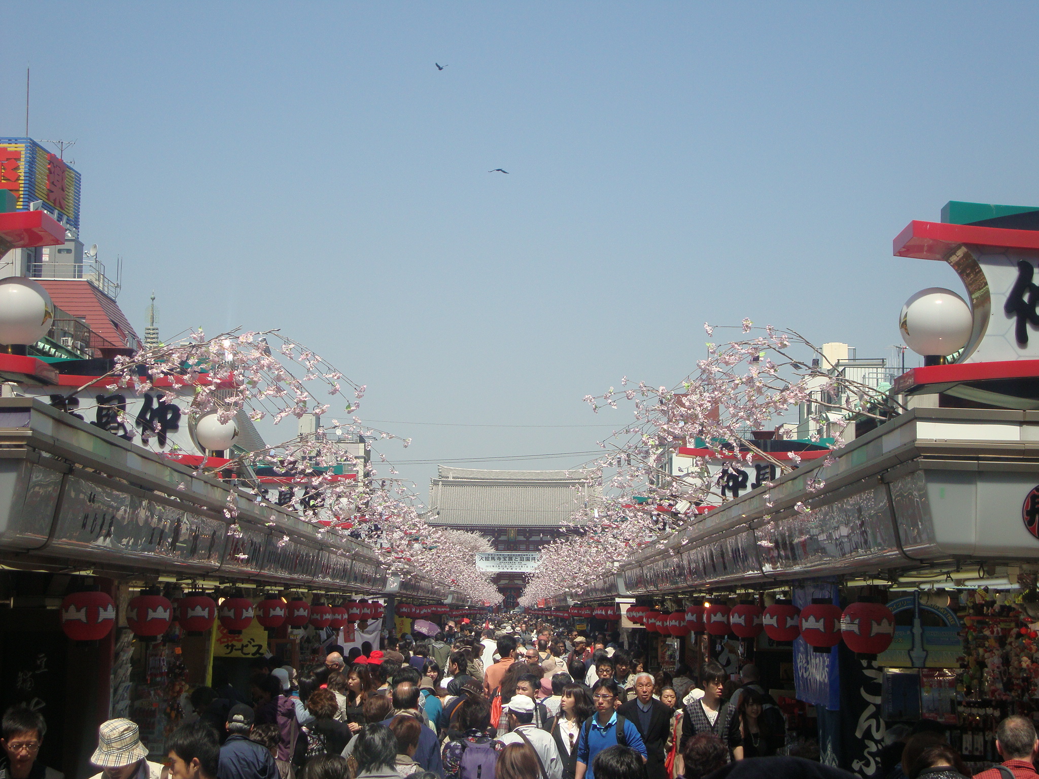 Tokyo Asakusa
